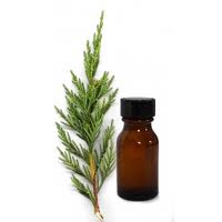 Cypress Essential Oil